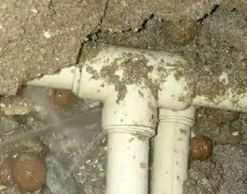 田东测漏水多少钱