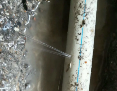 田东测漏水哪家好