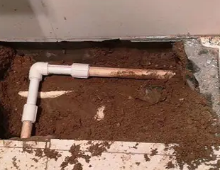 田东测漏水哪家好