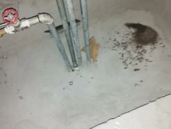 田东卫生间测漏水价格明细