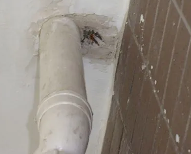 田东漏水检测哪家好